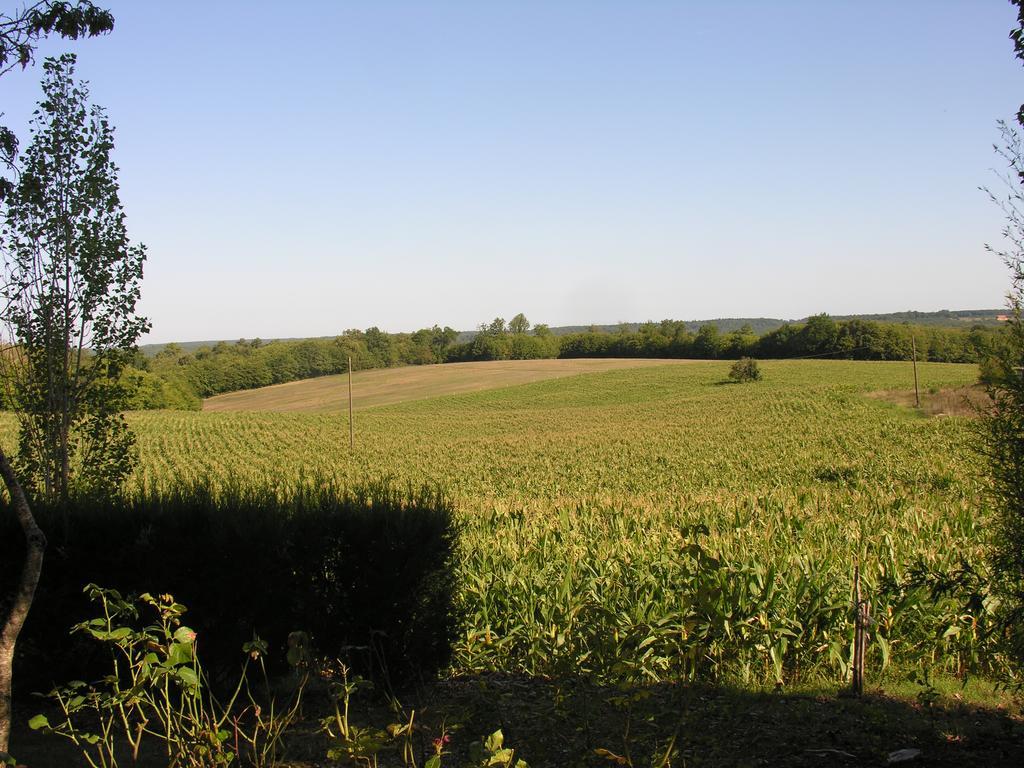 Penzion Chez Annie Saint-Avit-Rivière Exteriér fotografie